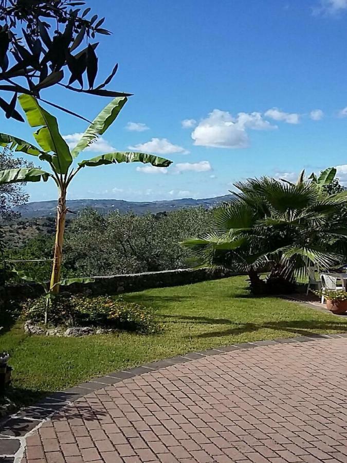 B&B Grandinetti Nocera Terinese Exterior foto
